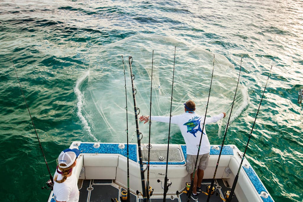 Cast Net vs. Fishing Rod: Which One is Better for Catching More Fish?